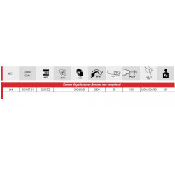 Femi Polisseuse 2200W 400V Diam 300 mm sans brosses 211 Femi Kobleo