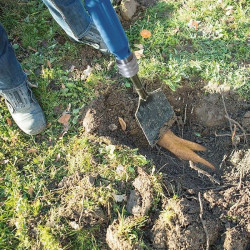 Scheppach Bêche pneumatique 5909601900 Aero2Spade 5en1 Scheppach Kobleo