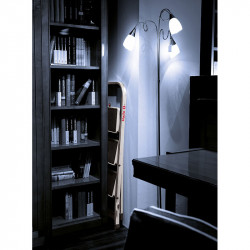 Hailo Marchepied K30 3 marches Ht de travail 2,69m Hailo Kobleo