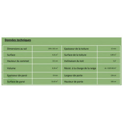 Baltic Abri de jardin en bois peint gris 4,31 m2 SKUR4 Gris Kobleo