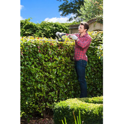 Ryobi Taille-haies RHT5655RS 550W lame 55cm Ryobi Kobleo