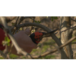 Bahco Sécateur PXR-L2 Ergo taille L coupe 20mm avec poignée tournante Bahco Kobleo