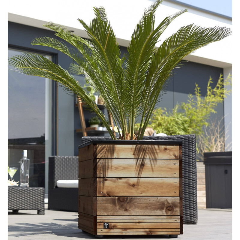 Jardipolys Bac à fleurs 281450 COLLECTORS carré 45x45cm 63L Jardipolys Kobleo Jardipolys Bac à fleurs 281450 COLLECTORS carré 45x45cm 63L Jardipolys Kobleo