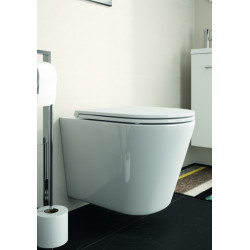 Allibert Abattant WC blanc brillant extra-plat charnières inox DUNEO Kobleo
