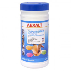 Aexalt 75 lingettes nettoyantes dégraissantes mains surfaces parfum agrume DU Kobleo