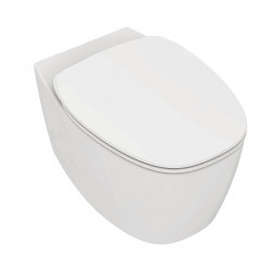 FTYYSWL Abattant WC rond à charnières à fermeture lente en résine robuste  pour usage domestique ou commercial : : Bricolage