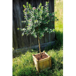 Jardipolys Bac à fleurs en bois carré 52L VENDOME 50 Jardipolys Kobleo Jardipolys Bac à fleurs en bois carré 52L VENDOME 50 Jardipolys Kobleo