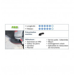 Sidamo 5 Disques semi-flexible Sidaflex D180x22,23mm C 100 carbure Sidamo Kobleo