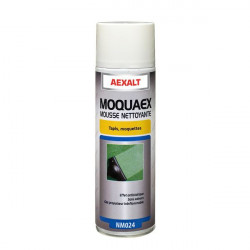 Aexalt Aérosol mousse nettoyante Porte douchex650 ml tapis et moquette MOQUAE Kobleo