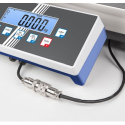 Kern sohn Balance au sol BID 1T-4LM 1500x1500x108mm portée 1500kg Kern Kobleo