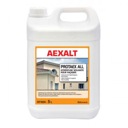 Aexalt Bidon de 5 L hydrofuge solvante pour façades et toitures PROTAEX ALL Kobleo