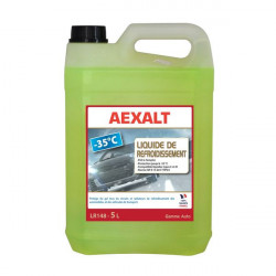 Aexalt Bidon de 5 L liquide de refroidissement -5°C Kobleo