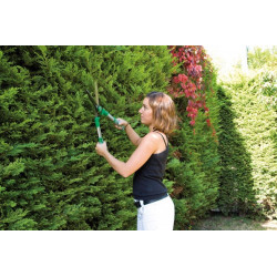 Ribiland Cisaille à haies à lames ondulées 52 cm PRCH52 Ribiland Kobleo