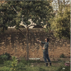 Fiskars Coupe-branches multifonctions télescopique coupe 32mm UPX86 PowerGea X Kobleo