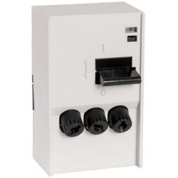 Legrand Coupe-circuit domestique PAC 20 3 Pôles 20A Kobleo