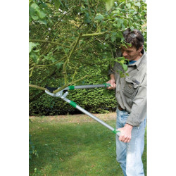 Ribiland Coupe-branches manuel 77cm 33mm max. PRCB77 Ribiland Kobleo Ribiland Coupe-branches manuel 77cm 33mm max. PRCB77 Ribiland Kobleo