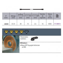 Sidamo Disque Diamant Pro Tt D. 230 X 22,23 X H 12 Sidamo Kobleo