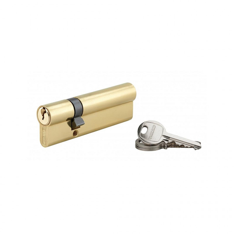 Thirard Cylindre de Serrure 30 x 70 mm 3 clés 16109 Thirard Kobleo