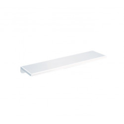 Delabie Tablette murale époxy blanc 120x450mm Kobleo