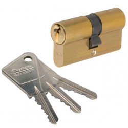 Vachette Cylindre 2 entrées V5 varié Laiton 40x30 mm Kobleo