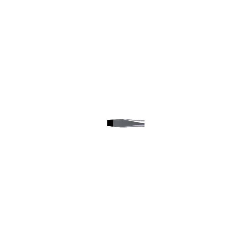 Bahco Tournevis plat ERGO 12x65x125mmVis fente cordon Dyneema TAHBE-8155 Bahco Kobleo Bahco Tournevis plat ERGO 12x65x125mmVis fente cordon Dyneema TAHBE-8155 Bahco Kobleo