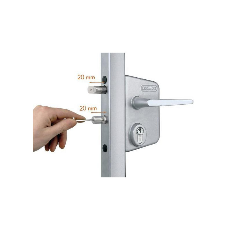 Locinox Serrure LAKQ Thermolaquée argent Profil 40 mm Axe à 60 mm Kobleo Locinox Serrure LAKQ Thermolaquée argent Profil 40 mm Axe à 60 mm Kobleo