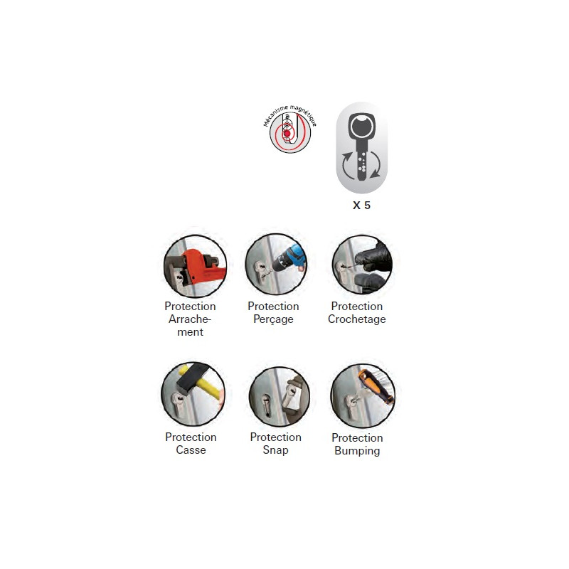 Thirard Cylindre 2 entrées 32 x 50 mm Nickelé mat avec 5 clés Federal 2 Thirard Kobleo Thirard Cylindre 2 entrées 32 x 50 mm Nickelé mat avec 5 clés Federal 2 Thirard Kobleo