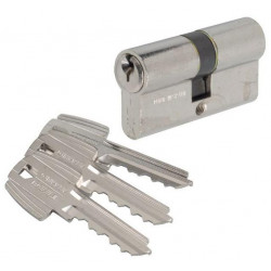 Tesa Cylindre 2 entrées TE5 nickelé Varié 40x30 mm Kobleo