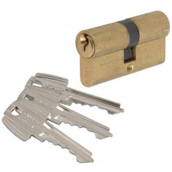 Tesa Cylindre 2 entrées TE5 laiton 48563B 30x30 mm Kobleo