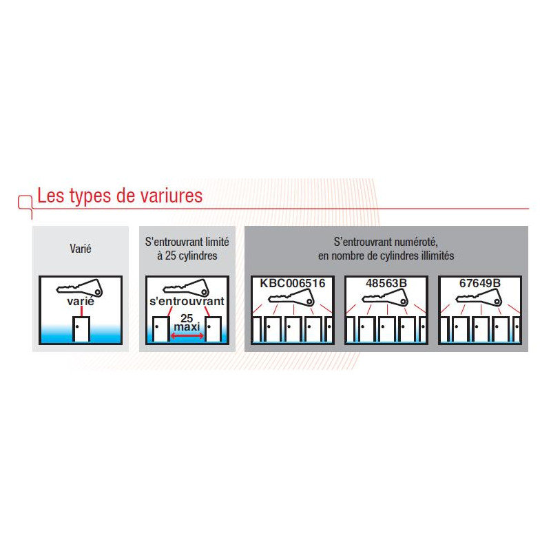 Tesa Cylindre 2 entrées TE5 laiton 48563B 30x30 mm Kobleo Tesa Cylindre 2 entrées TE5 laiton 48563B 30x30 mm Kobleo