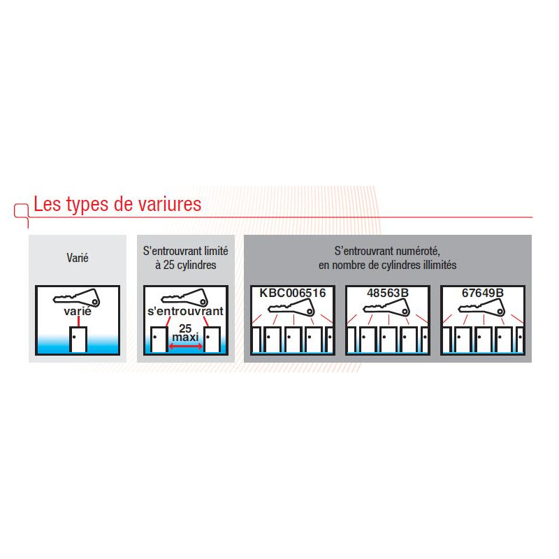 Tesa Cylindre 2 entrées T60 nickelé Varié 30x30 mm Kobleo Tesa Cylindre 2 entrées T60 nickelé Varié 30x30 mm Kobleo