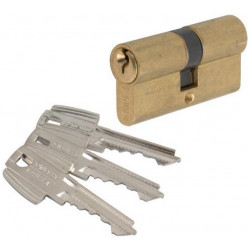 Tesa Cylindre 2 entrées TE5 laiton s'entrouvrant 40x30 mm Kobleo