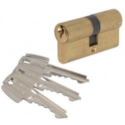 Tesa Cylindre 2 entrées TE5 laiton Varié 50x40 mm Kobleo