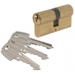 Tesa Cylindre 2 entrées TE5 laiton Varié 50x30 mm Kobleo