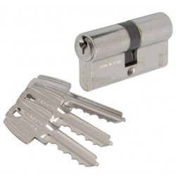 Tesa Cylindre 2 entrées TE5 nickelé varié 30x30 mm Kobleo