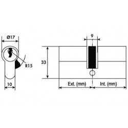 Tesa Cylindre 2 entrées TE5 nickelé varié 30x30 mm Kobleo