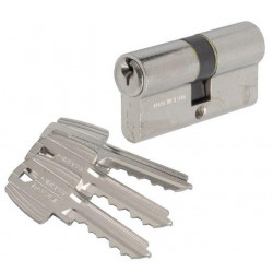 Tesa Cylindre 2 entrées TE5 nickelé varié 40x40 mm Kobleo