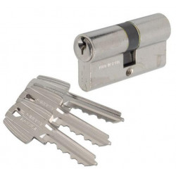 Tesa Cylindre 2 entrées TE5 nickelé Varié 60x30 mm Kobleo