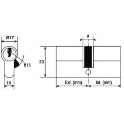 Tesa Cylindre 2 entrées TE5 nickelé Varié 60x30 mm Kobleo