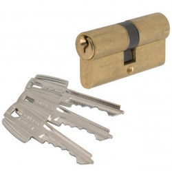 Tesa Cylindre 2 entrées TE5 laiton s'entrouvrant 30x30 mm Kobleo