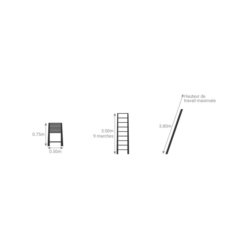 Telesteps Echelle télescopique Classico 9 marches Longueur 3 m en aluminium TEL Telesteps Kobleo Telesteps Echelle télescopique Classico 9 marches Longueur 3 m en aluminium TEL Telesteps Kobleo