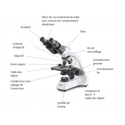 Kern sohn Microscope scolaire monoculaire OBT 101 revolver à 3 objectifs Kern Kobleo