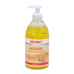Aexalt Flacons de 500 ml Lotion nettoyante pour les mains parfum notes boisée Kobleo