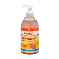 Aexalt Flacons de 500 ml Lotion nettoyante pour les mains parfum agrume AEXAG Kobleo