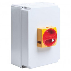 Legrand Interrupteur de proximité tripolaire 40A Kobleo