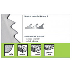 Sidamo Lame Chrome Vanadium Type B 550x2.8x30 80 Dents Kobleo