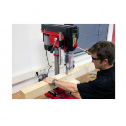 Einhell Perceuse à colonne 750 W vitesse variable mandrin 1 mm 16 mm TE-BD 750 Einhell Kobleo