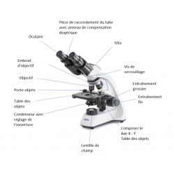 Kern sohn Microscope scolaire binoculaire OBT 104 objectifs 4x/10x/40x Kern Kobleo