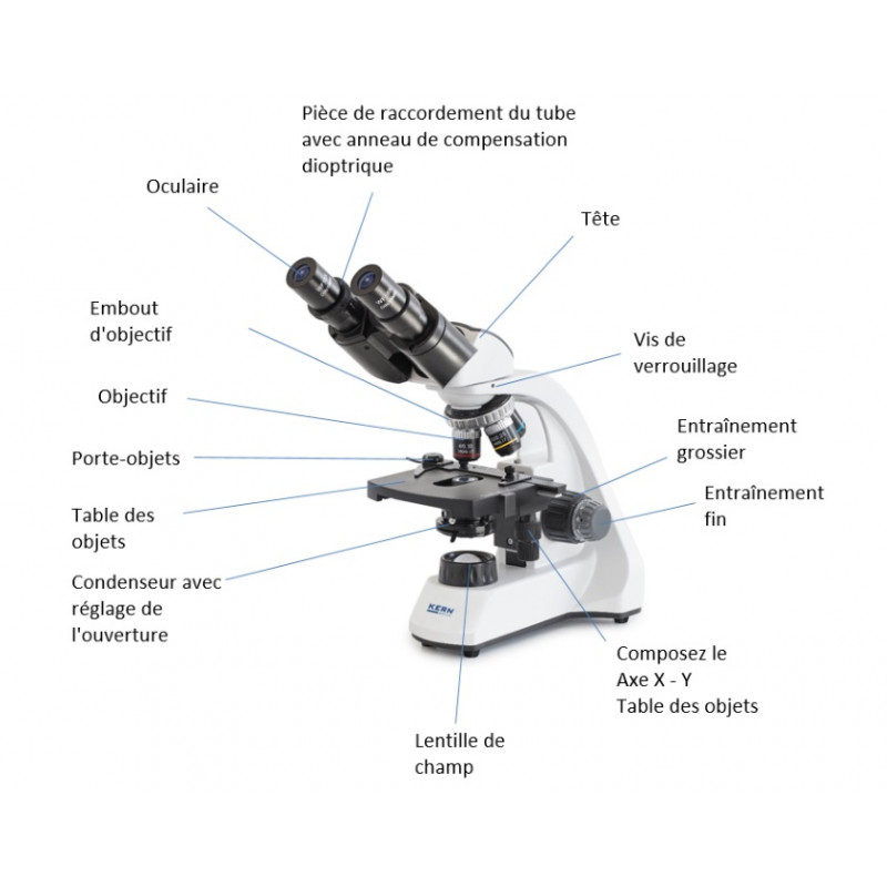 Microscope étrier haut en bas gauche droite règle mobile microscope stade  mécanique