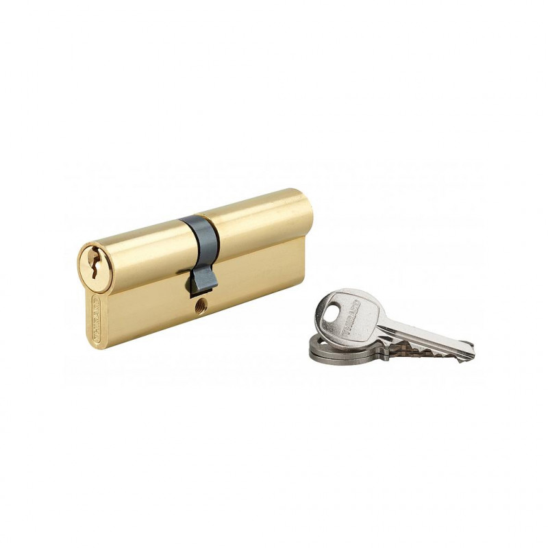 Thirard Cylindre de Serrure en laiton 40 x 50 mm 3 clés 16290 Thirard Kobleo